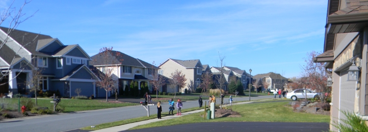 Suburban neighborhood street lined with modern homes, sidewalks, and families enjoying a sunny day.