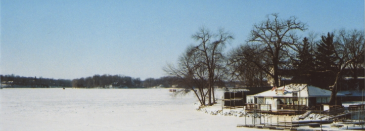 Snow-covered lakeside homes and bare trees along a frozen shoreline under a clear winter sky.