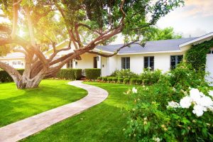 beautiful-home-and-yard