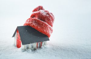 house-wearing-a-hat